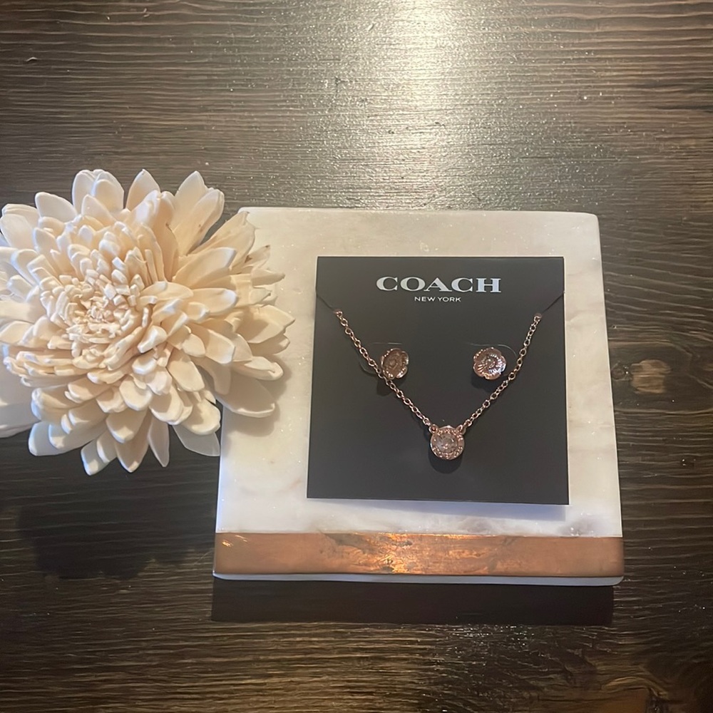 NWT Coach necklace and earrings set